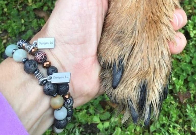 A human hand with a bracelet adorning the wrist holding a canine paw.