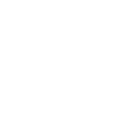 Big Wood Stock logo