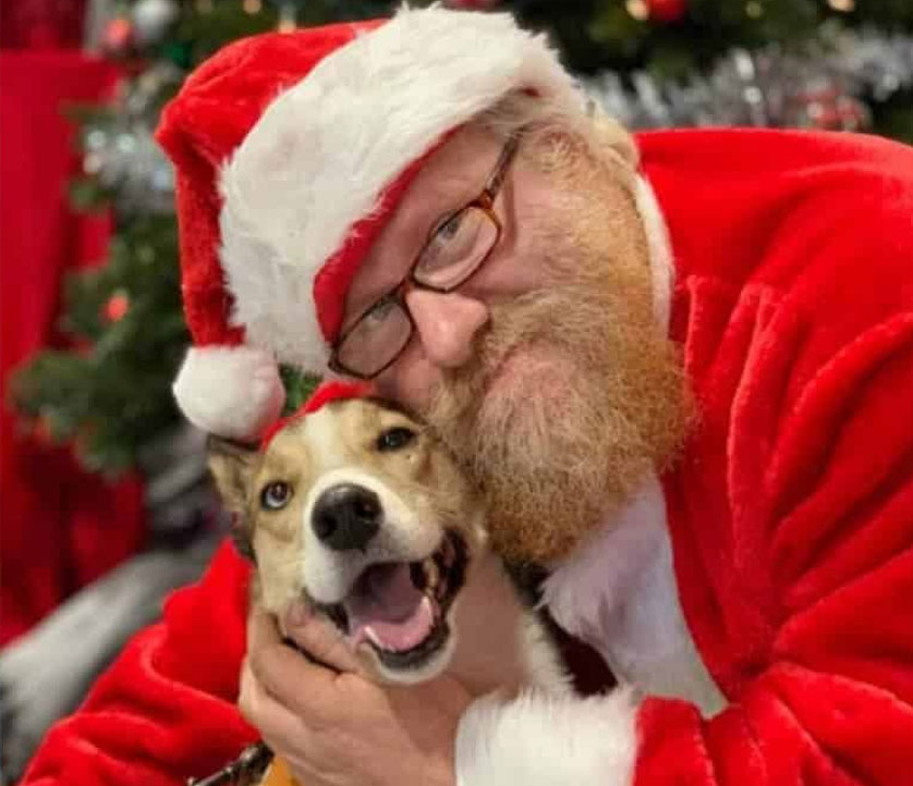 santa_paws