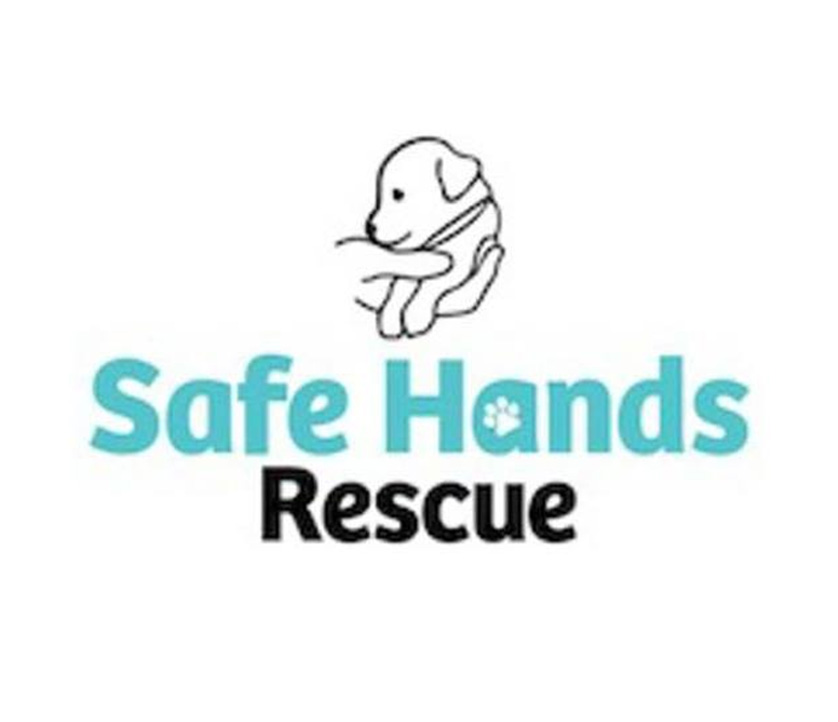 safe_hands